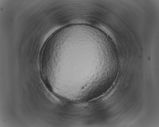 X0000077281141200611031519