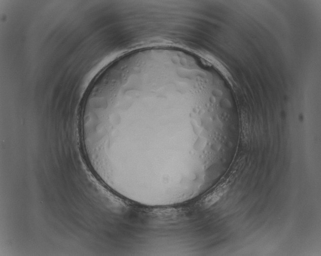 X0000077281142200611031519