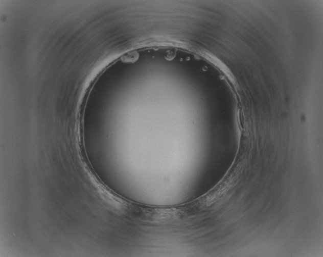 X0000077281144200611031519