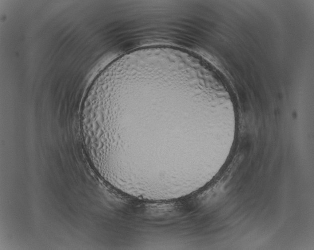 X0000077281145200611031519