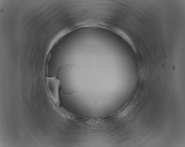 X0000077281146200611031519