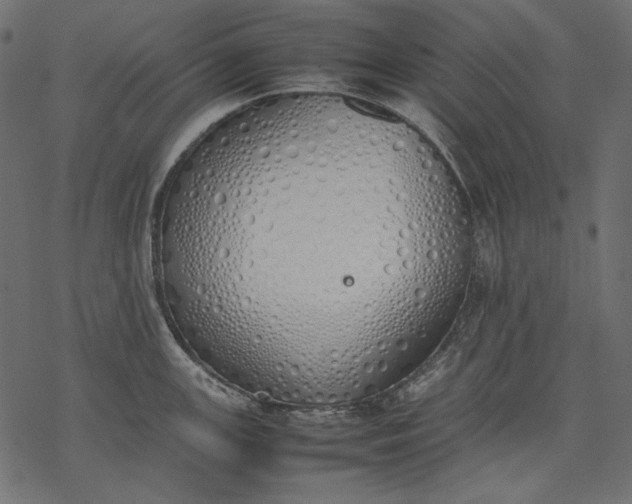 X0000077281147200611031519