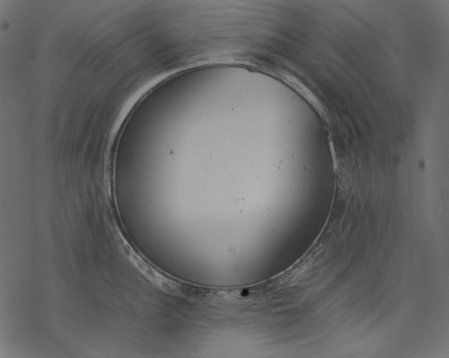 X0000077281148200611031519