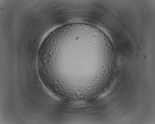 X0000077281149200611031519