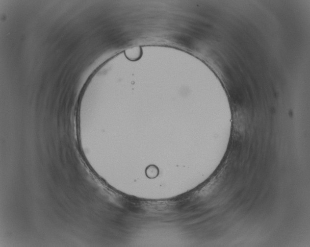 X0000077281150200611031519