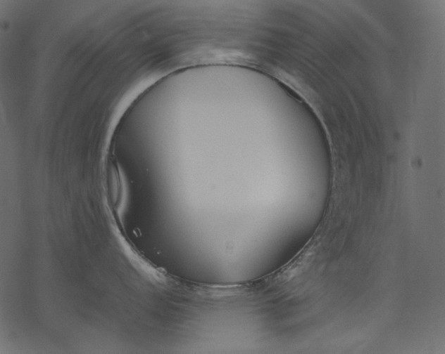 X0000077281152200611031519