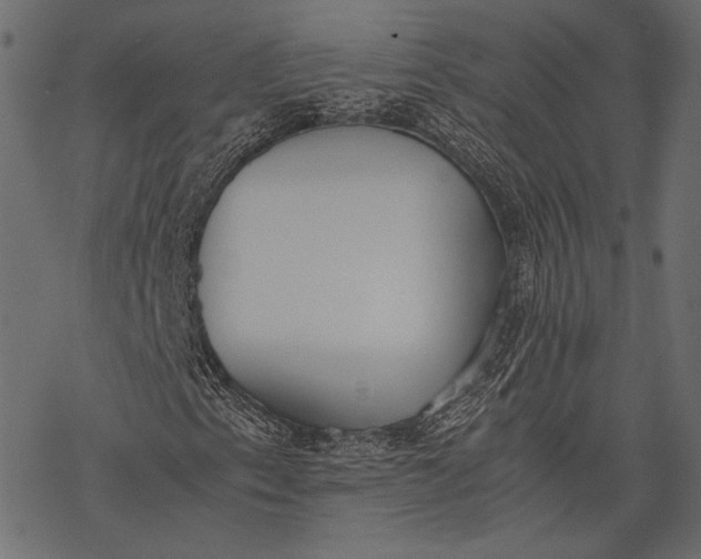 X0000077281153200611031518