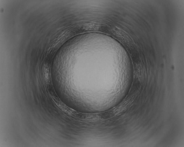 X0000077281154200611031518