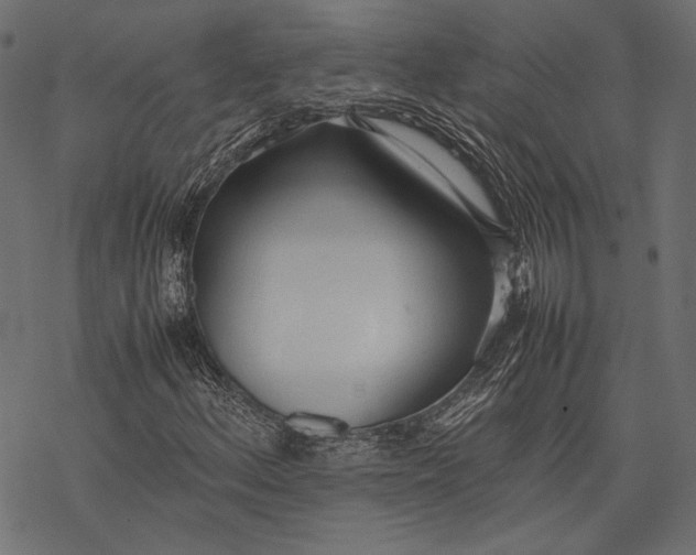 X0000077281156200611031518