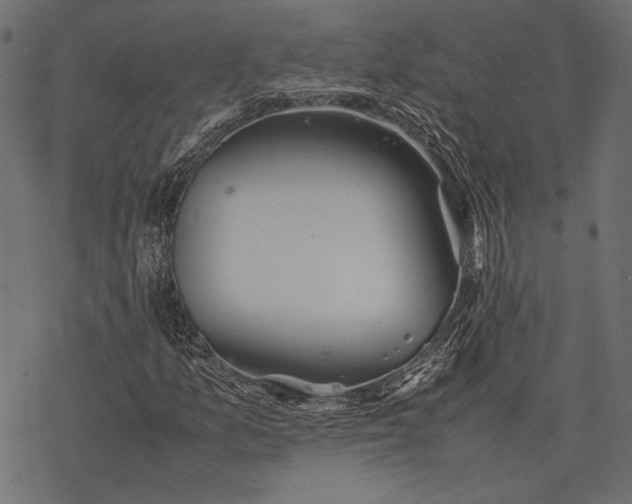 X0000077281157200611031518