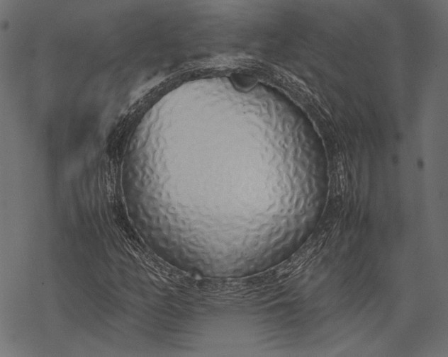 X0000077281158200611031518