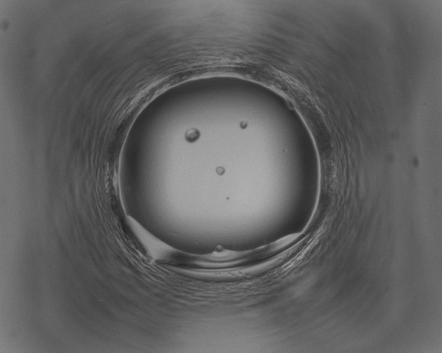 X0000077281161200611031518