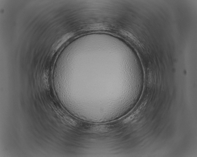 X0000077281162200611031518