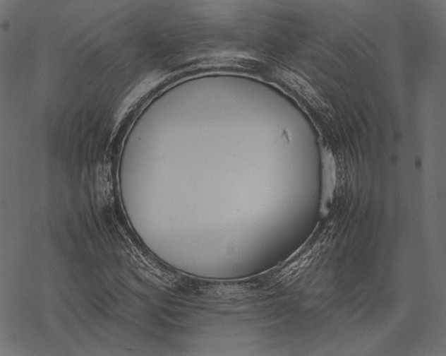 X0000077281164200611031518