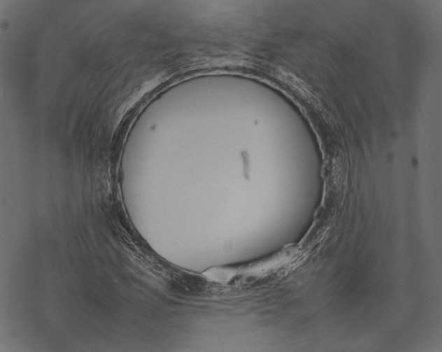 X0000077281165200611031518