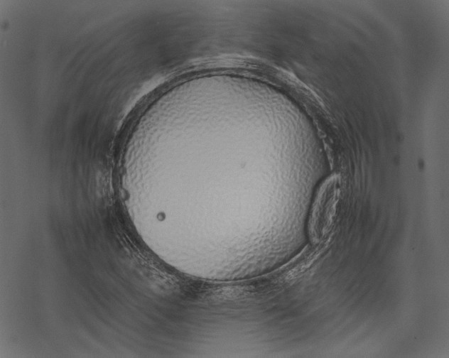 X0000077281166200611031518