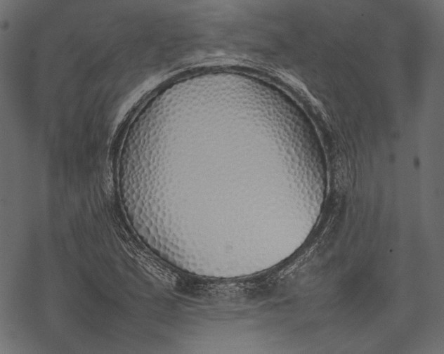 X0000077281167200611031518