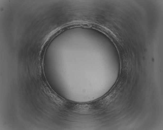 X0000077281168200611031518