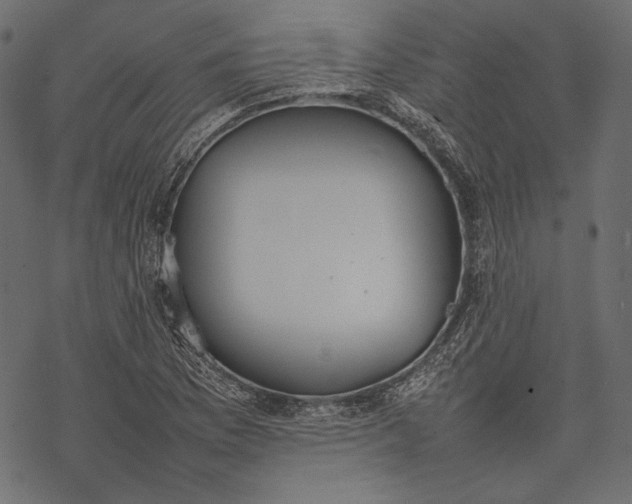 X0000077281169200611031518