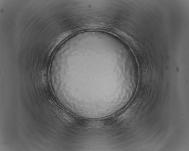 X0000077281170200611031518