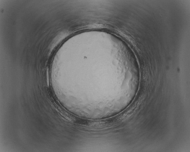 X0000077281171200611031518