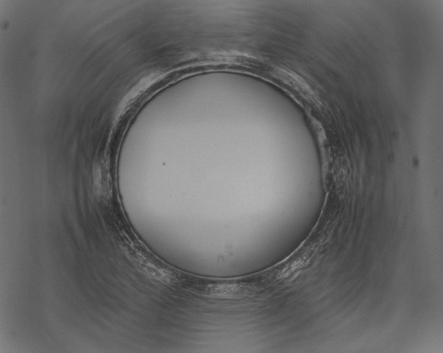 X0000077281172200611031518