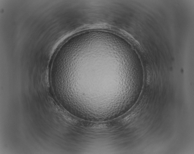 X0000077281174200611031518