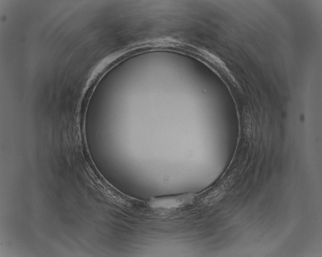 X0000077281176200611031518