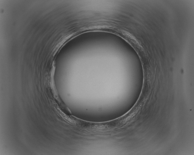 X0000077281177200611031518