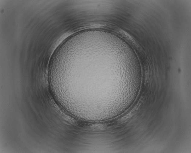 X0000077281178200611031518