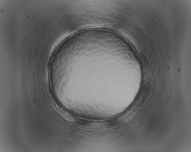 X0000077281179200611031518