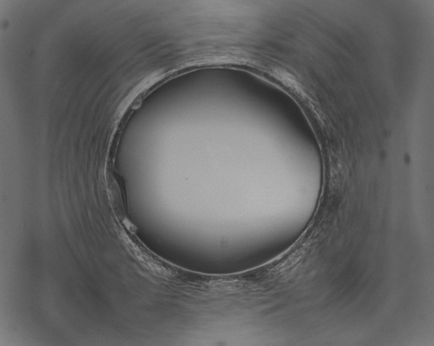 X0000077281181200611031518