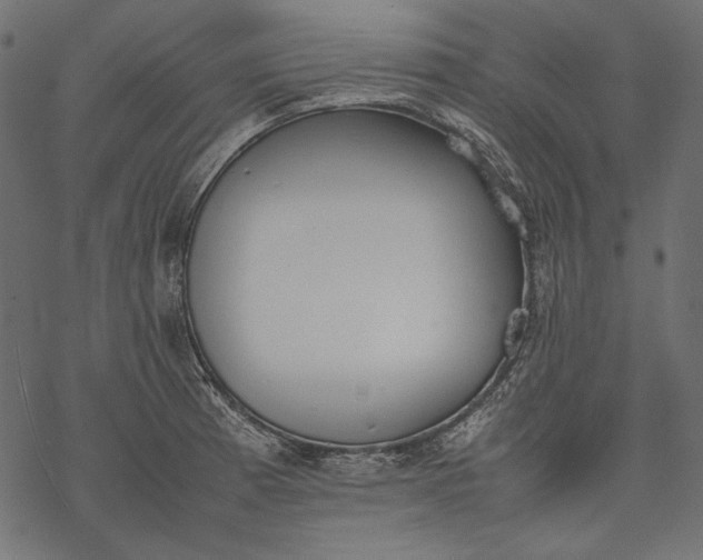 X0000077281185200611031518