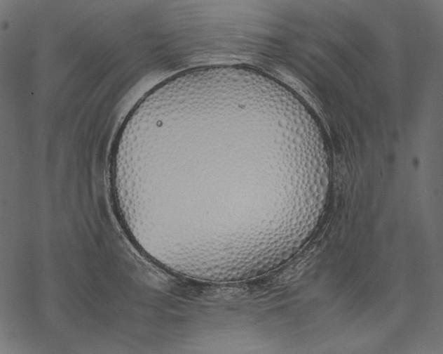 X0000077281187200611031518