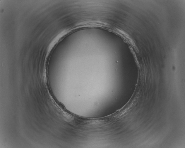 X0000077281188200611031517