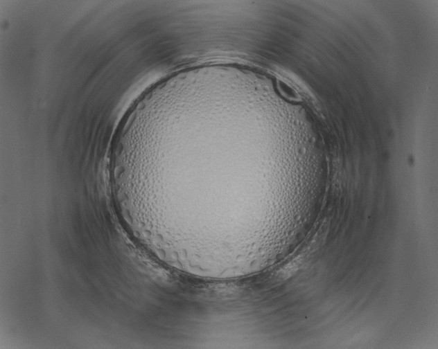 X0000077281190200611031517