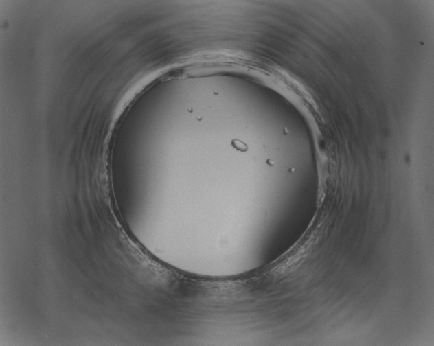 X0000077281192200611031517