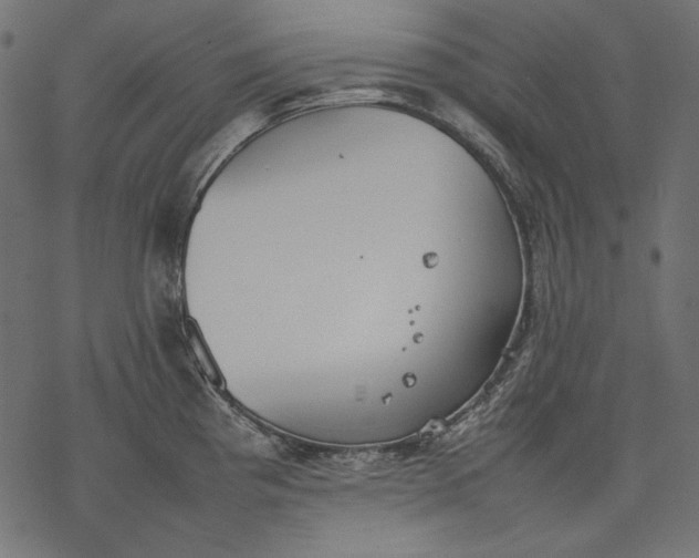 X0000077281193200611031517