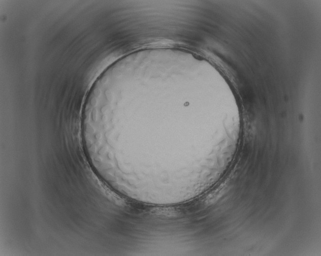 X0000077281194200611031517