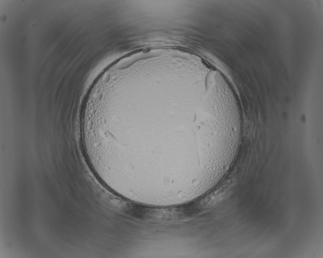 X0000077281195200611031517