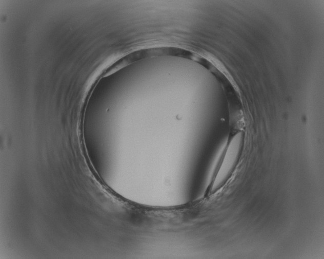 X0000077281197200611031517