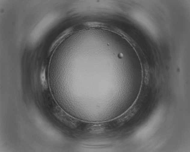 X0000077281198200611031517