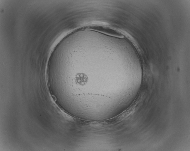 X0000077281199200611031517