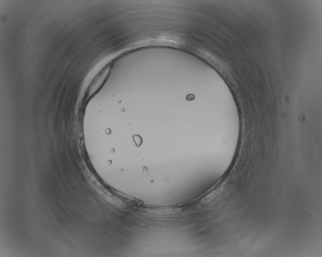 X0000077281200200611031517