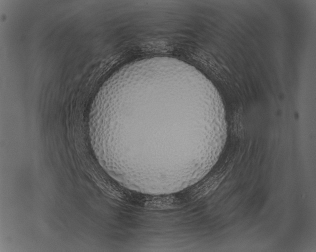 X0000077281201200611031517