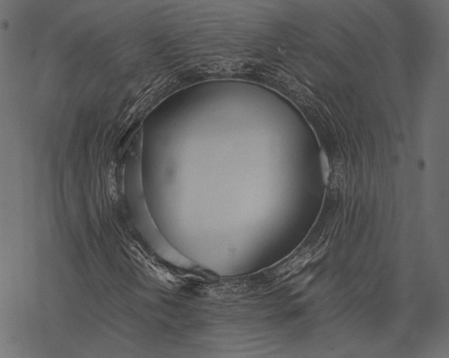 X0000077281202200611031517