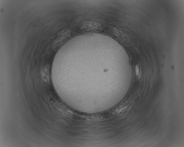 X0000077281203200611031517