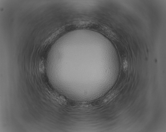 X0000077281204200611031517