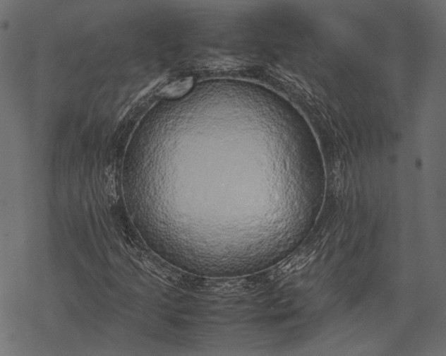 X0000077281205200611031517