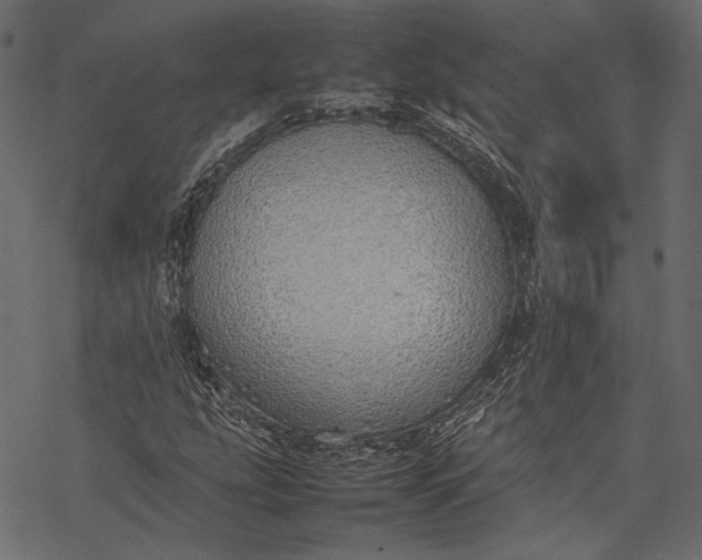 X0000077281207200611031517